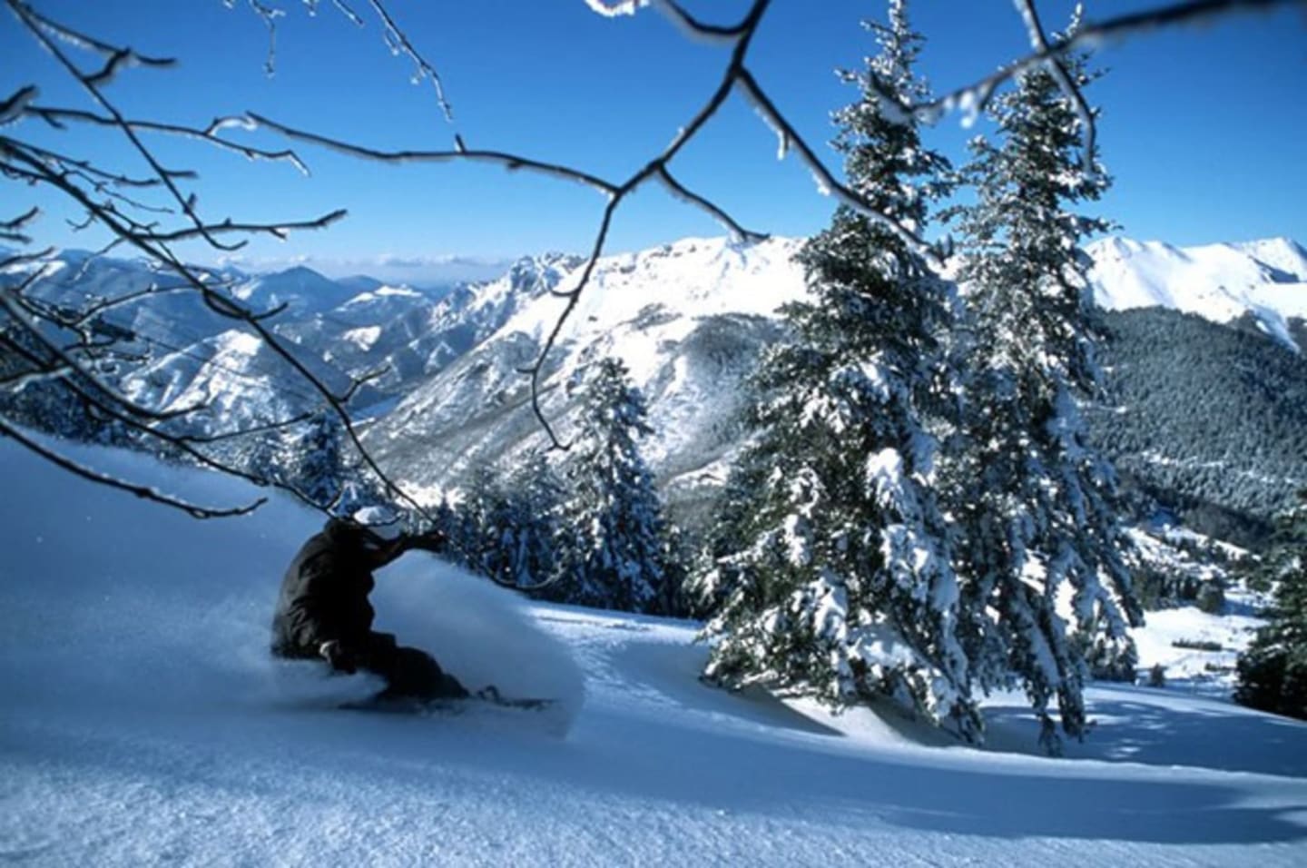 Snowboardeur carving sur pente enneigée avec sapins chargés de neige et pics montagneux près des Chalets Du Lac, Clarac