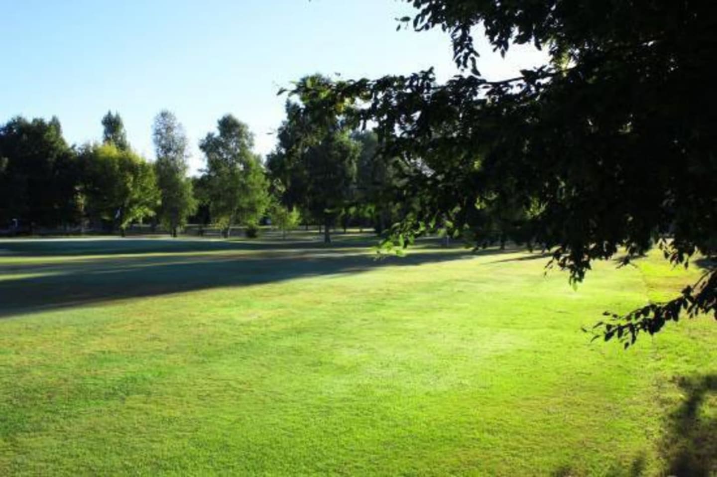 Parc pittoresque au bord du lac avec pelouse verdoyante, arbres et plan d'eau aux Chalets Du Lac De Montréjeau à Clarac