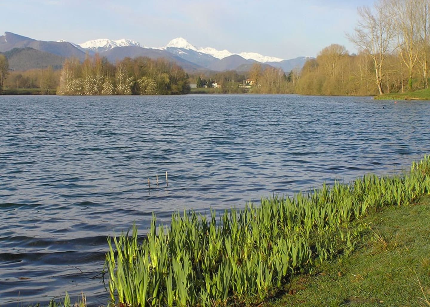 Vue pittoresque du lac avec montagnes enneigées, roseaux et arbres aux Chalets Du Lac de Montréjeau
