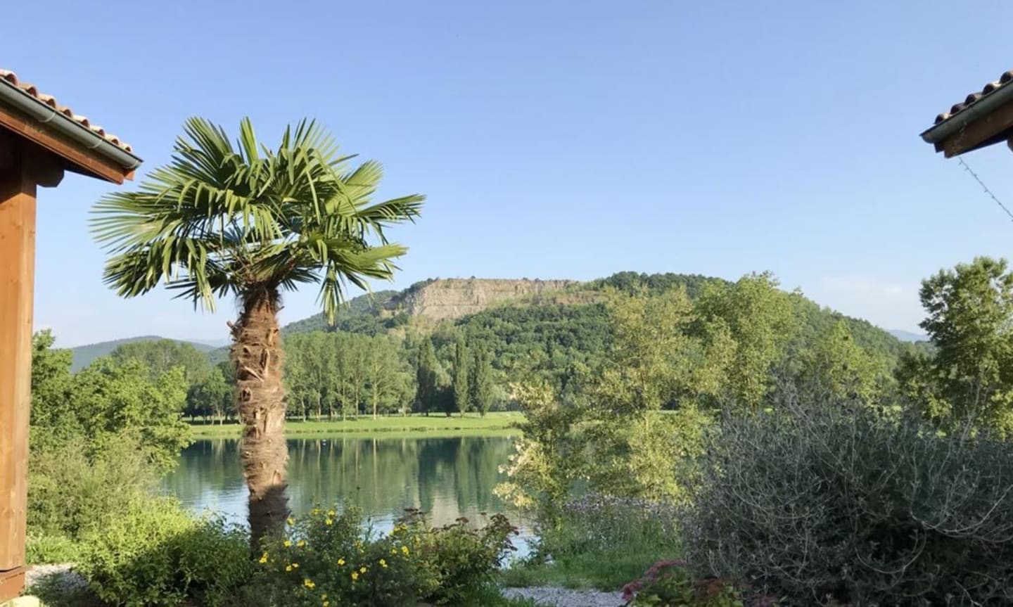 Palmier et jardin avec vue sur le Lac de Montréjeau et collines boisées aux Chalets Du Lac, Clarac