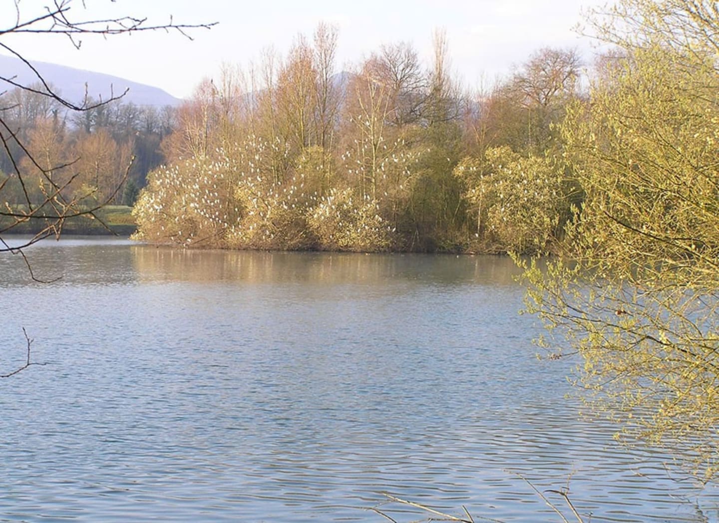 Vue sereine du lac aux Chalets Du Lac De Montréjeau avec saules et montagnes à Clarac, France