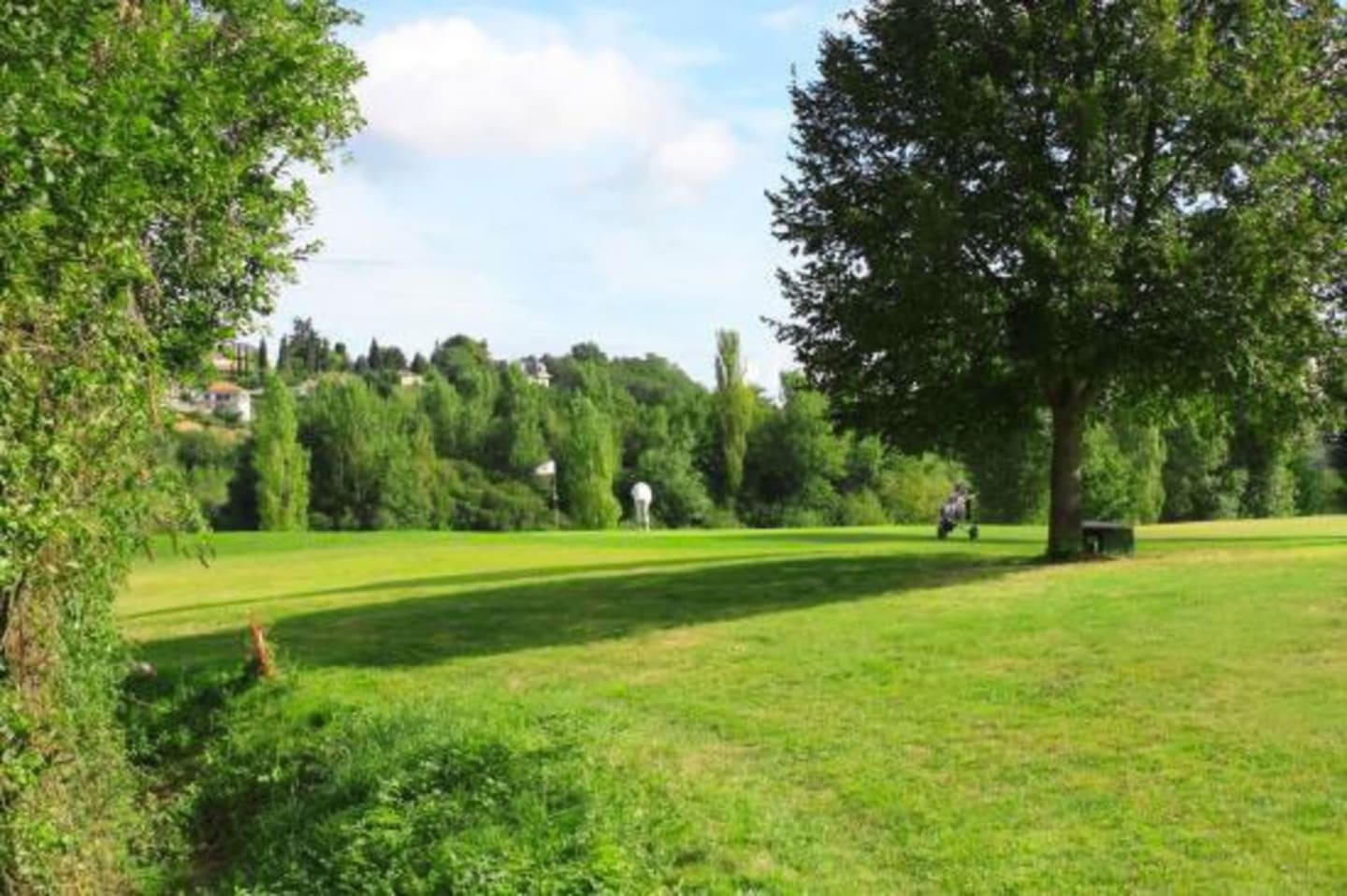 Parc verdoyant spacieux aux Chalets Du Lac près de Montréjeau à Clarac avec de grands arbres et un ciel dégagé